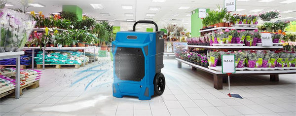 Create Healthy Room with Dehumidifier