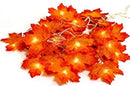 GAOMON 2pcs Thanksgiving Decorations String Lights