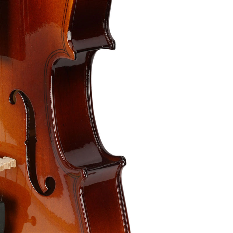 GAOMON Basswood 1/2 Acoustic Violin with Case Bow Rosin Inside Soft Box Natural Violin