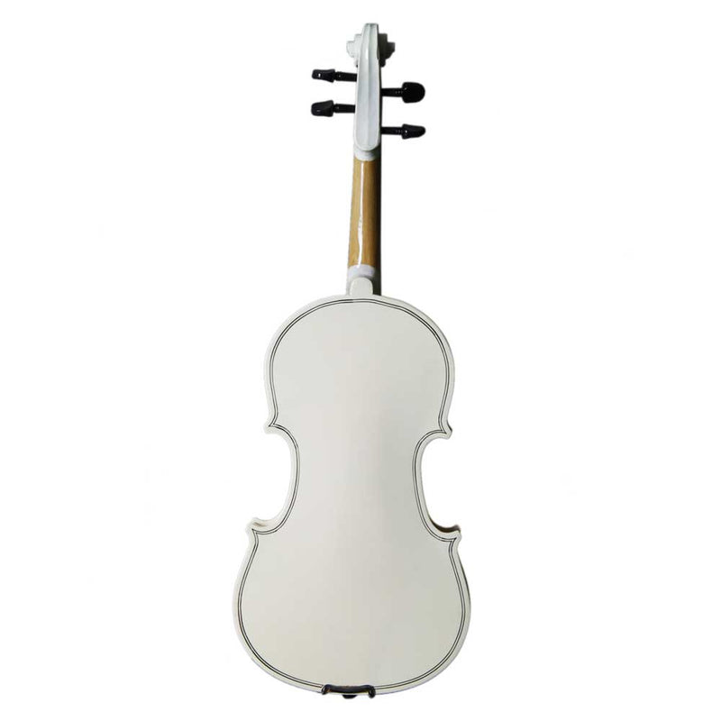GAOMON Wooden 4/4 Acoustic Violin with Case Bow Rosin Professional Student Violin Starter Kit