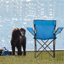 GAOMON Camping Chair Small Simple Foldable Chair 80x50x50 Blue