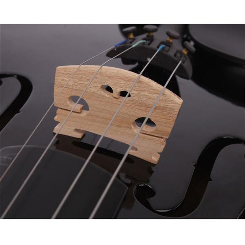GAOMON 1 Set Pine 4/4 Solid Wood Acoustic Violin Case Bow Rosin Black