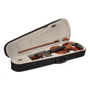 GAOMON 1/4 Beginner Violin Set Beginner Violin with Rosin Bow Case Stringed N101