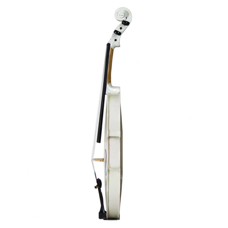 GAOMON Wooden 4/4 Acoustic Violin with Case Bow Rosin Professional Student Violin Starter Kit