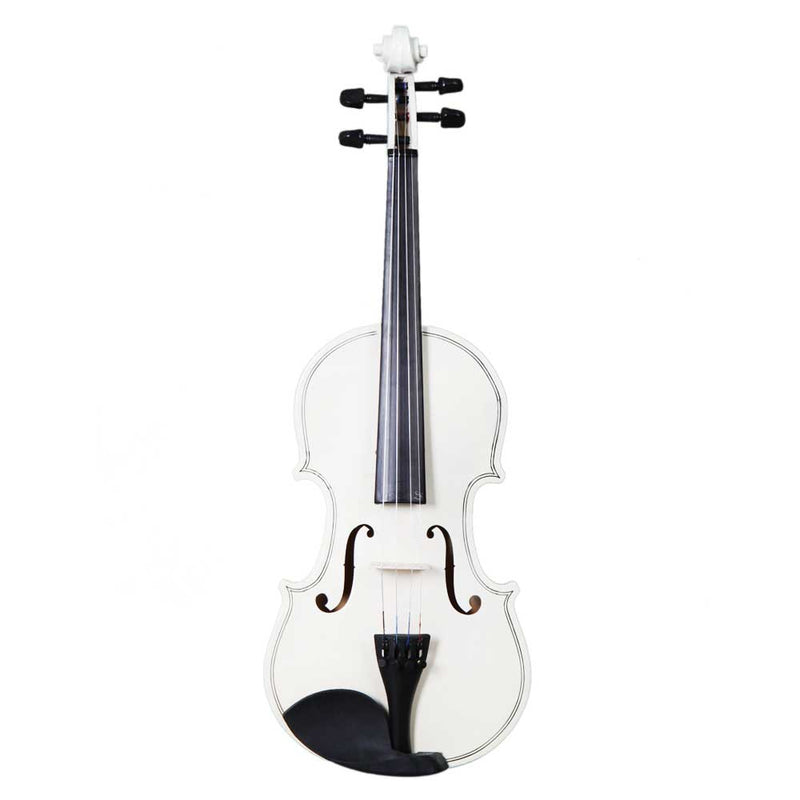 GAOMON Wooden 4/4 Acoustic Violin with Case Bow Rosin Professional Student Violin Starter Kit