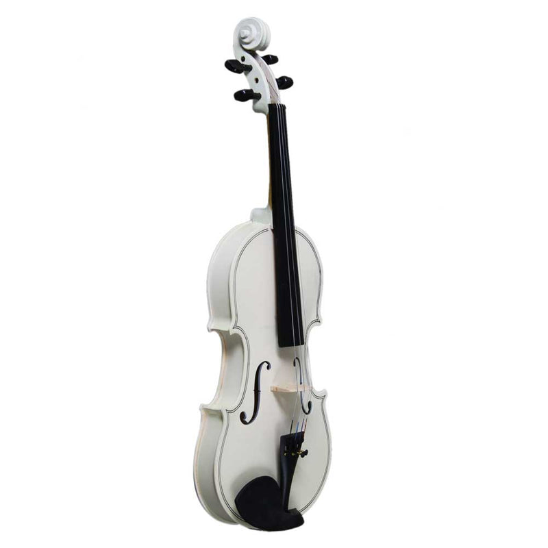 GAOMON Wooden 4/4 Acoustic Violin with Case Bow Rosin Professional Student Violin Starter Kit