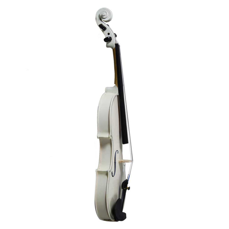 GAOMON Wooden 4/4 Acoustic Violin with Case Bow Rosin Professional Student Violin Starter Kit