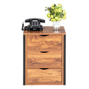 GAOMON Steel Frame Three-drawing Bedside Table Household Furniture for Living Room