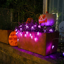 GAOMON 2m 20led Dual Mode Spider String Lights Halloween Decorations