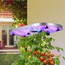 GAOMON GS1 Basic 4-in-1 Automatic Hydroponic Growing System for Indoor Garden