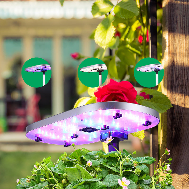 GAOMON GS1 Basic 4-in-1 Automatic Hydroponic Growing System for Indoor Garden