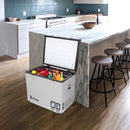 ZOKOP BCD60 60L Compressor Key Display Car Refrigerator Cold Rolled Gray