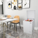 ZOKOP BD-100 100L Single Door Horizontal Freezer AC115V 60Hz Freezing Refrigerator White