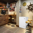 ZOKOP BD-100 100L Single Door Horizontal Freezer AC115V 60Hz Freezing Refrigerator White